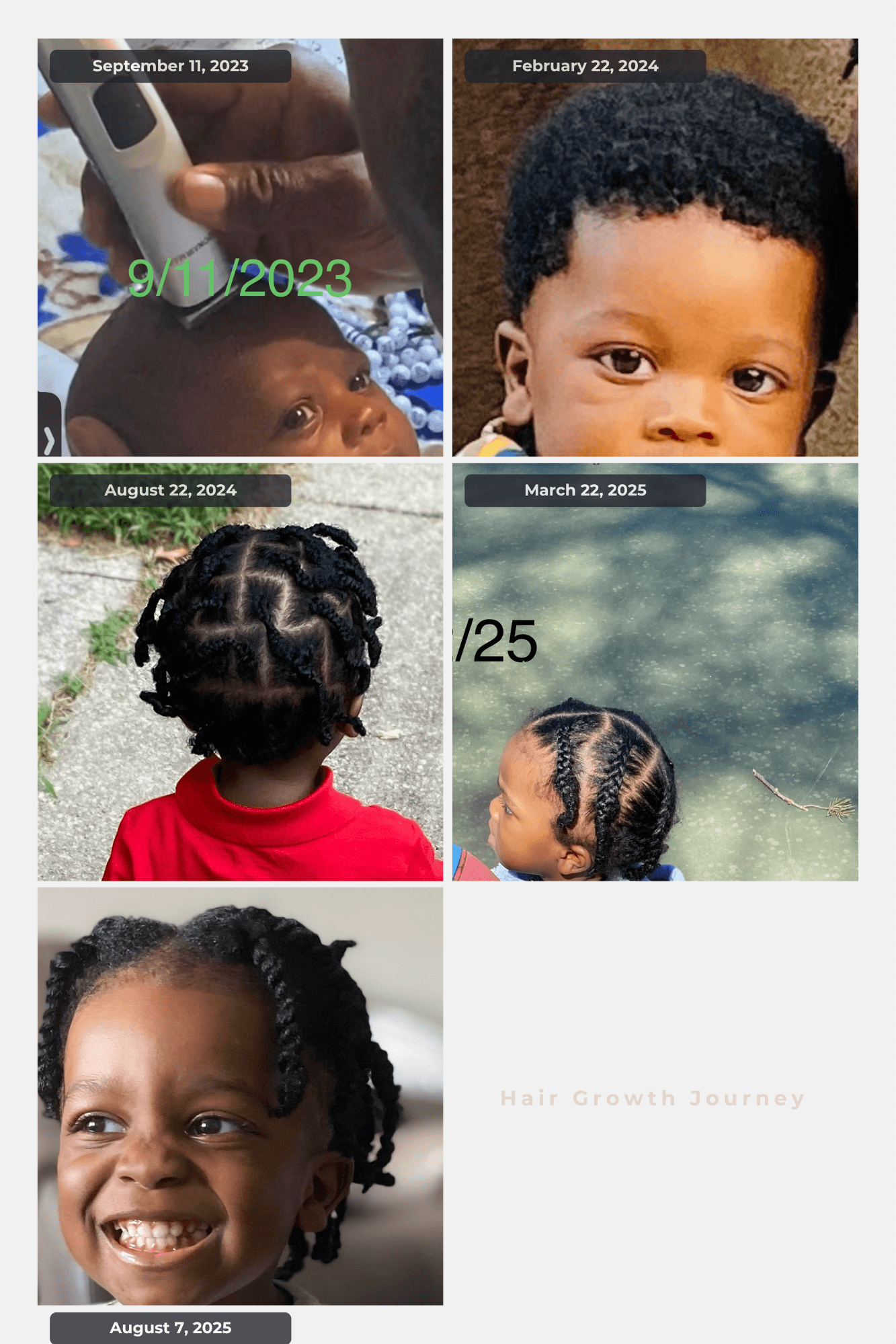 SheaLOWE, LLC portfolio image 7
